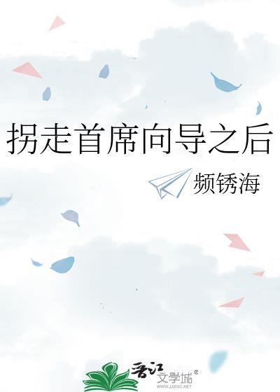 拐走首席向导之后