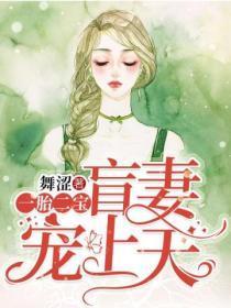 一胎二宝:盲妻宠上天