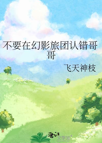 不要在幻影旅团认错哥哥