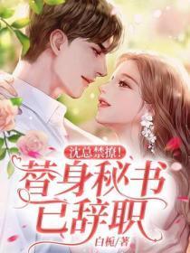 沈总禁撩!替身秘书已辞职