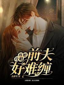 再婚攻略:前夫好难缠