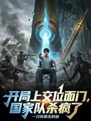 开局上交位面门,国家队杀疯了