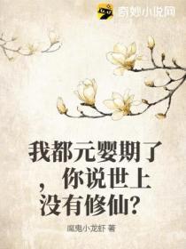 我都元婴期了,你说世上没有修仙?
