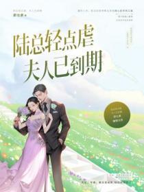 陆总轻点虐,夫人已到期