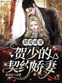 错爱成宠:贺少的契约娇妻