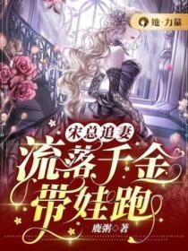 宋总追妻,流落千金带娃跑