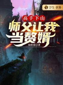 高手下山:师父让我当赘婿