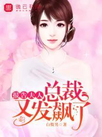 报告夫人,总裁又发飙了