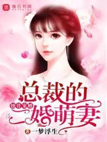 蚀骨宠婚,总裁的二婚萌妻