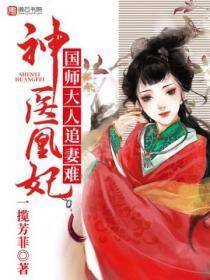 神医凰妃:国师大人追妻难