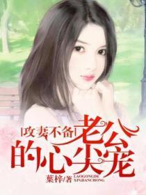 攻妻不备:老公的心尖宠