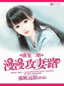 盛宠二婚,漫漫攻妻路