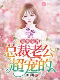 独家宝贝:总裁老公超宠的