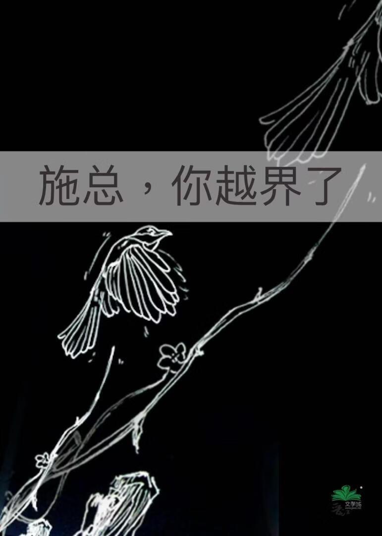 施总，你越界了