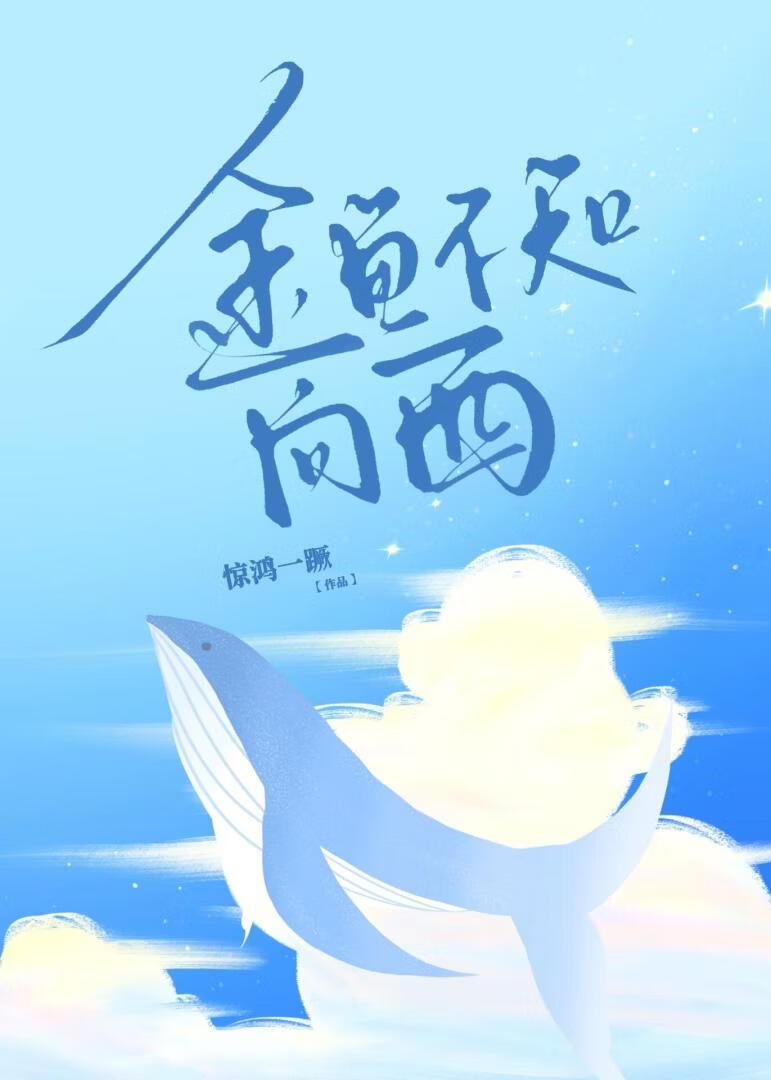 金鱼不知向西