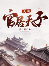 大明:官居天子