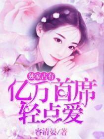 独家占有:亿万首席轻点爱