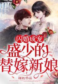 闪婚成宠:盛少的替嫁新娘
