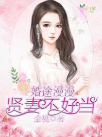 婚途漫漫:贤妻不好当