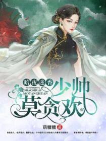 暗夜迷香:少帅莫贪欢