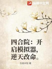 四合院:开启模拟器,逆天改命
