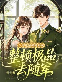 八零觉醒弹幕系统,整顿极品去随军