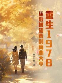重生1978:从返城知青到商业大亨