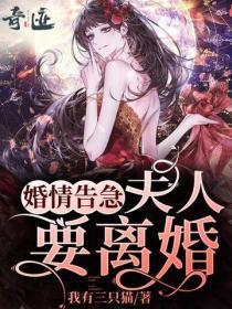 婚情告急,夫人要离婚