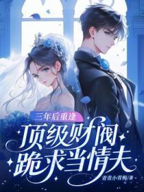 三年后重逢,顶级财阀跪求当情夫