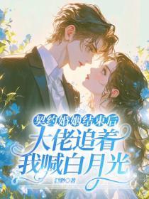 契约婚姻结束后,大佬追着我喊白月光