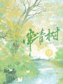 常青树