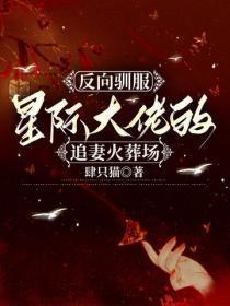 反向驯服:星际大佬的追妻火葬场