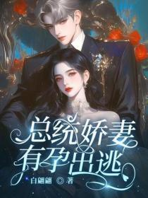 总统娇妻,有孕出逃