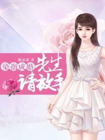 染指成婚:先生,请放手