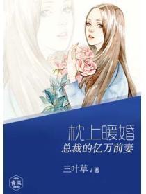 枕上暖婚:总裁的亿万前妻