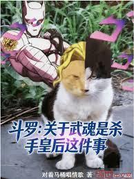 斗罗:关于武魂是杀手皇后这件事