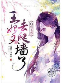 启禀王爷:王妃又去爬墙了