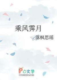 乘风霁月