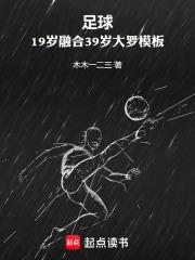 足球:19岁融合39岁大罗模板