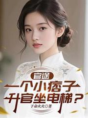 官途:一个小痞子,升官坐电梯