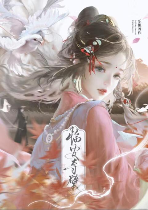 临安夺璧