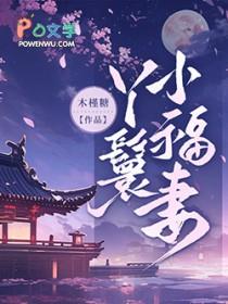 丫鬟小福妻