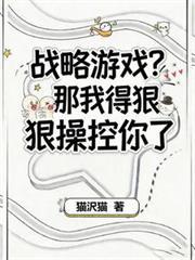 战略游戏?那我得狠狠操控你了
