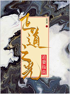 正道之光追妻指南(旧稿版)