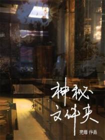 神秘文件夹