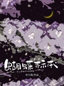 蝴蝶标本