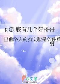 笨蛋狐狸精，你到底有几个好哥哥
