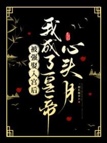 被强娶入宫后我成了皇帝心头月