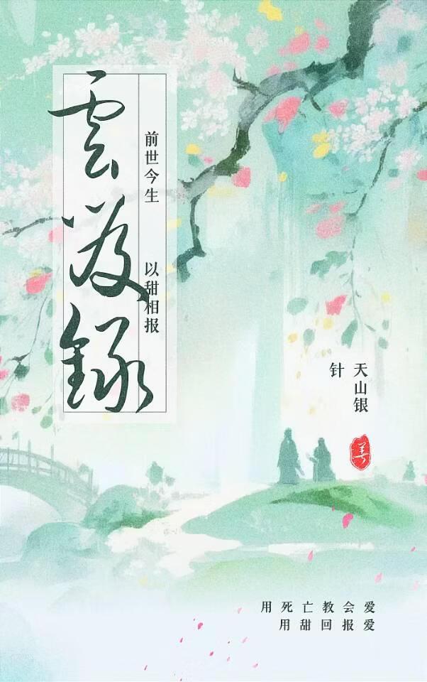 云笈录