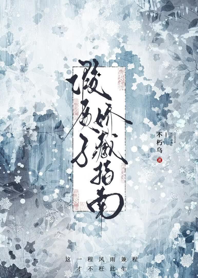 假质子娇藏指南